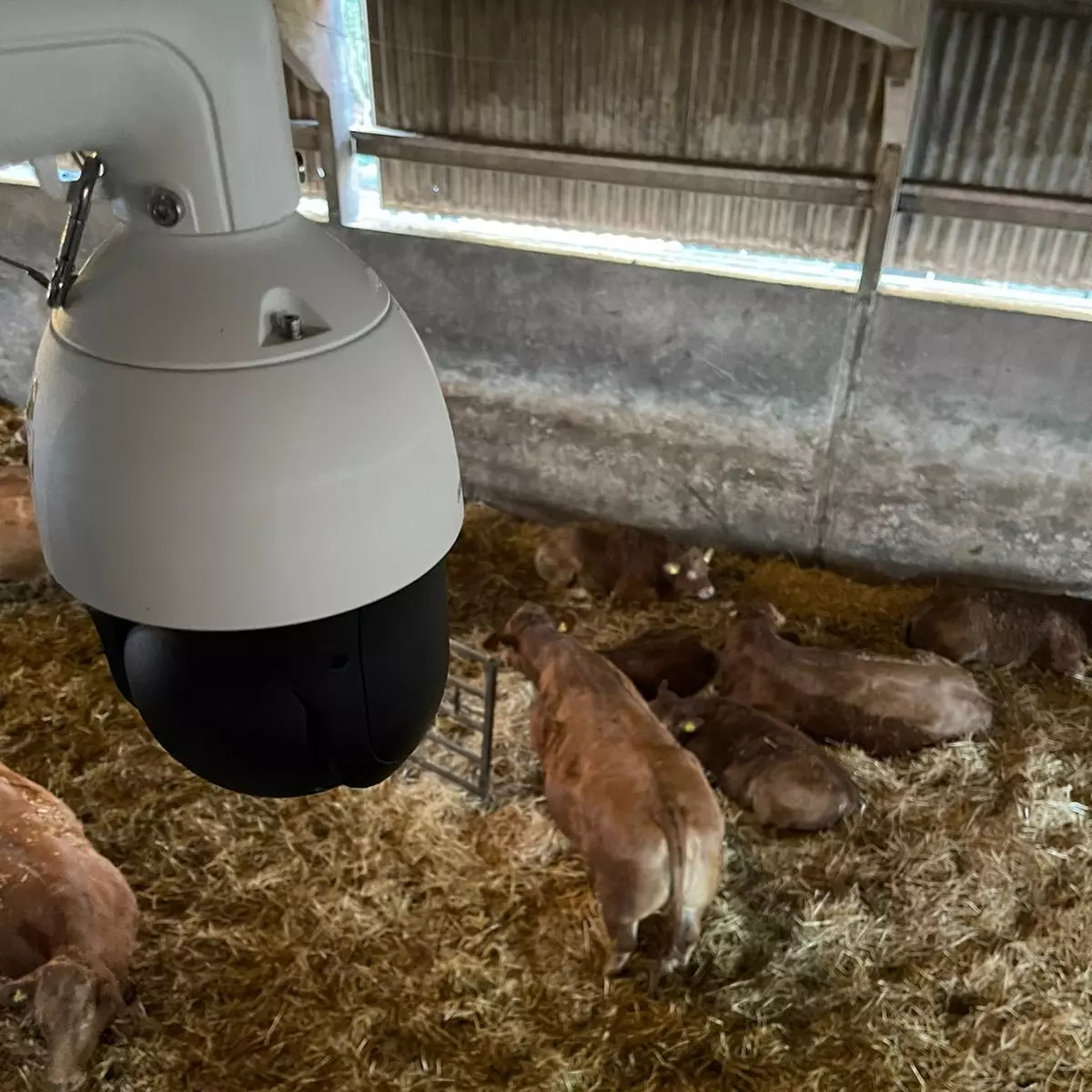 Choose How You Would Like To Install Your Livestock Camera